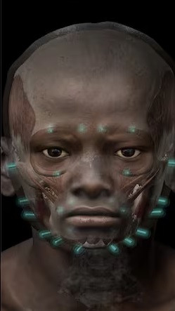 Theo các chuyên gia, người phụ nữ tên là "Ta-Kr-Hb" hoặc "Takerheb" được cho đã sống trong triều đại thứ 25 - 26 (khoảng năm 760 trước Công nguyên - 525 trước Công nguyên).