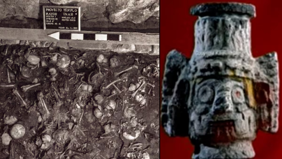 Hài cốt của ít nhất 42 trẻ em trong độ tuổi từ 2 - 7 được phát hiện ở Templo Mayor, quần thể đền thờ quan trọng nhất tại Tenochtitlán, ngày nay là thành phố Mexico, vào năm 1980 và 1981. Những thi hài này ở trong tư thế nằm ngửa, có các chi co gập lại, được đặt bên trong hộp đá khối trên nền cát. Một số hài cốt đeo đồ trang sức như vòng cổ và ngậm hạt đá xanh trong miệng.