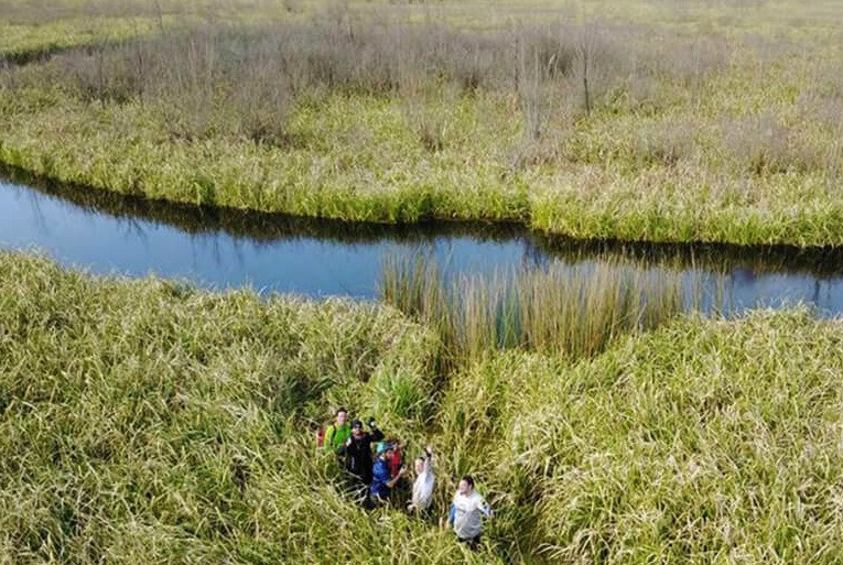 El Ojo di chuyển theo chiều kim đồng hồ. Hiện các nhà nghiên cứu chưa rõ hòn đảo tách khỏi đất liền bằng cách nào và như thế nào. Tuy nhiên, lần đầu tiên nó xuất hiện trên ảnh vệ tinh cách đây gần 20 năm. Ảnh: mybestplace.
