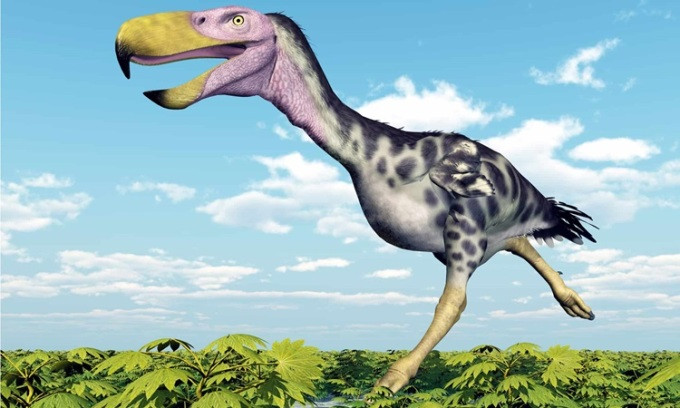 Trong năm nay, các nhà nghiên cứu tạo ra mô hình 3D của mẫu vật, sử dụng máy scan di động, cho phép họ phân tích mẫu hóa thạch kỹ lưỡng hơn. Ảnh: A-Z Animal.