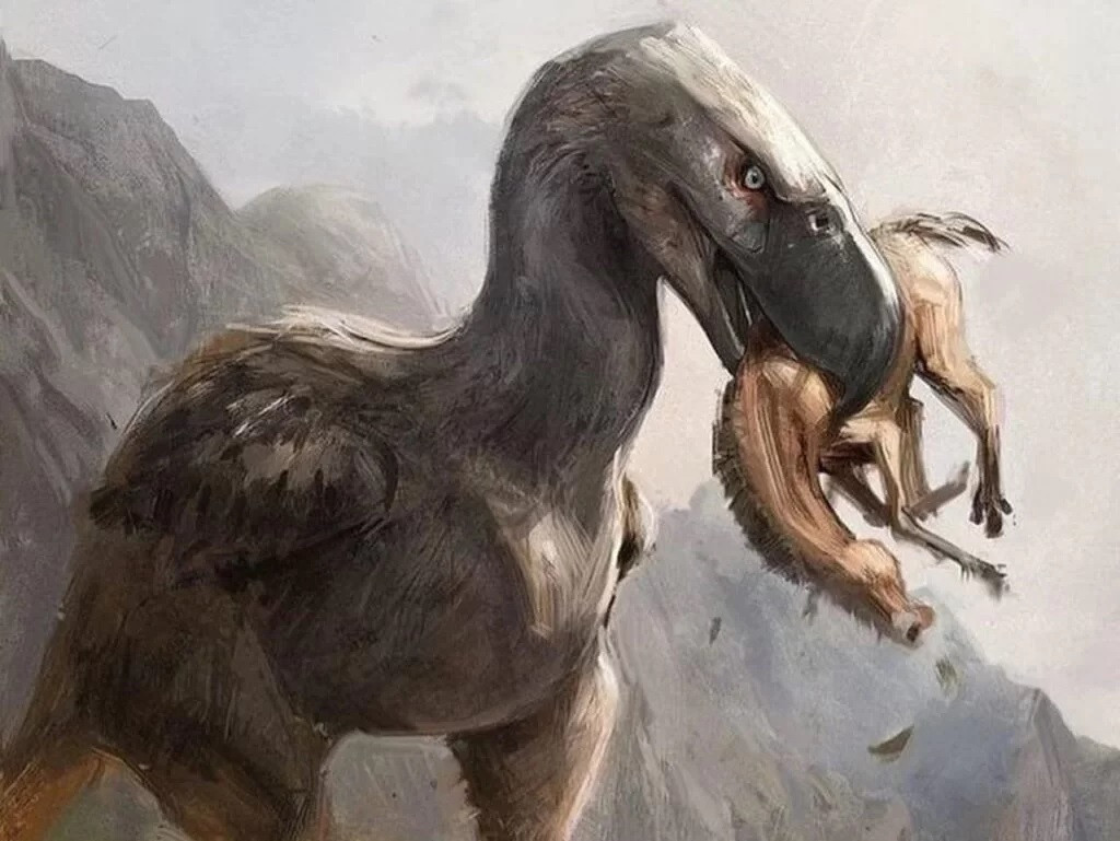 Trong bài báo mới nhất công bố trên tạp chí Papers in Palaeontology, nhóm nghiên cứu xác nhận hóa thạch là bằng chứng đầu tiên về một loài "chim khủng bố" lớn từ giữa thế Trung Tân (khoảng 11,6 - 16 triệu năm trước) ở mỏ hóa thạch tại miền Trung Colombia. Ảnh: Jon Kuo.