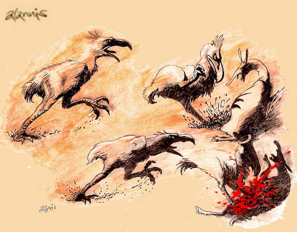 Các chuyên gia ước tính loài "chim khủng bố" này lớn hơn 5 - 20% so với các loài "chim khủng bố" đã biết, được cho là có chiều cao từ 1 - 3m dựa trên hóa thạch đã phát hiện trước đó. Hiện họ chưa thể xác định loài mới thuộc chi nào của phorusrhacid. Ảnh: Alannis/Wikimedia Commons.