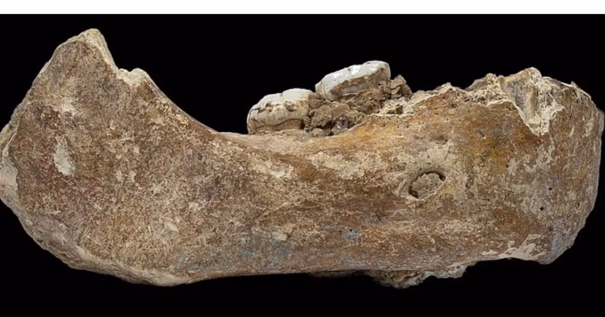 Cụ thể, hai nhà di truyền học dân số Ongaro và Sanchez đã phát hiện nhiều người Denisova thích ứng với môi trường trên khắp lục địa Á châu và xa hơn nữa.