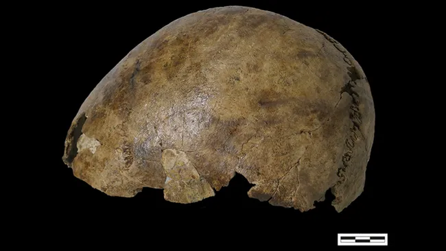 Trong cuộc khai quật nghĩa địa ở thị trấn Pommerœul, Bỉ những năm 1970, các chuyên gia đã tìm thấy 76 ngôi mộ hỏa táng và một ngôi mộ chôn cất một hài cốt ở tư thế bào thai. Trong đó, mộ cổ chứa hài cốt của ít nhất 5 người sống trong khoảng thời gian 2.500 năm. Ảnh: Veselka et al.