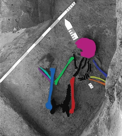 Kết quả phân tích đồng vị carbon năm 2019 đã xác nhận tất cả ngôi mộ hỏa táng được khai quật ở Pommerœul đều có từ thời La Mã. Ảnh: Paumen, Wargnies and Demory, Fédération Wallonie-Bruxelles.