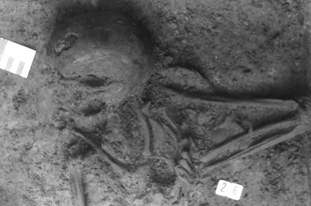 Từ đây, các chuyên gia tò mò vì sao hộp sọ của một phụ nữ La Mã lại nằm trong ngôi mộ thời Đồ đá mới và tại sao mộ cổ lại chứa hài cốt của nhiều người? Ảnh: fédération wallonie-bruxelles.