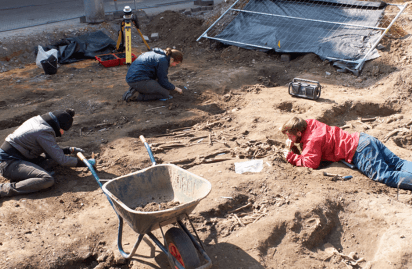 Một khả năng khác là người La Mã đã tạo ra "cá thể" được chắp vá từ những mảnh xương thời Đồ đá mới nằm rải rác và một hộp sọ thời La Mã. Họ suy đoán việc làm này là hành động có chủ ý. Tuy nhiên, mục đích của người La Mã khi xây ngôi mộ này vẫn là bí ẩn. Ảnh: WavyBxl. Image: Shutterstock.