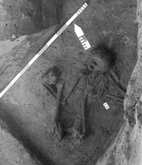 Những hiện vật liên quan và cách chôn cất cho thấy 76 ngôi mộ hỏa táng thuộc về người La Mã, tồn tại từ thế kỷ 2 - 3 sau Công nguyên. Ảnh: Paumen, Wargnies and Demory, Fédération Wallonie-Bruxelles.