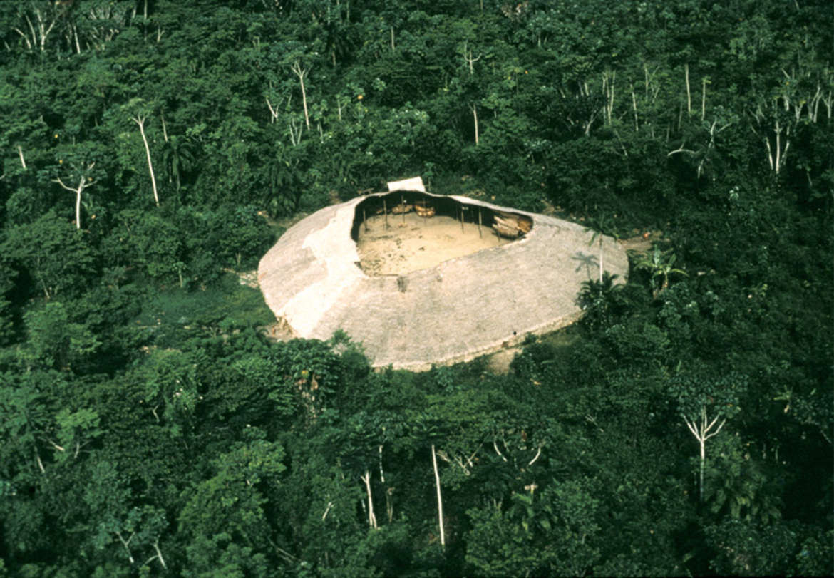 Trong đó, người Yanomami có tập tục tụ họp dưới mái nhà chung gọi là shabono. Shabono có hình tròn với chu vi trung bình khoảng 90m. Ảnh: Dennison Berwick/Survival.