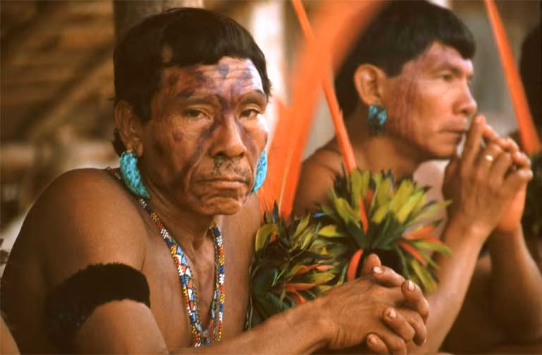 Các thành viên bộ tộc Yanomami thích xăm mình. Họ khá am hiểu về tự nhiên, biết cách sử dụng các loại thực vật vào trong sinh hoạt hàng ngày. Đặc biệt, họ cũng biết sử dụng chất độc từ thực vật. Ảnh: Fiona Watson / Survival International.