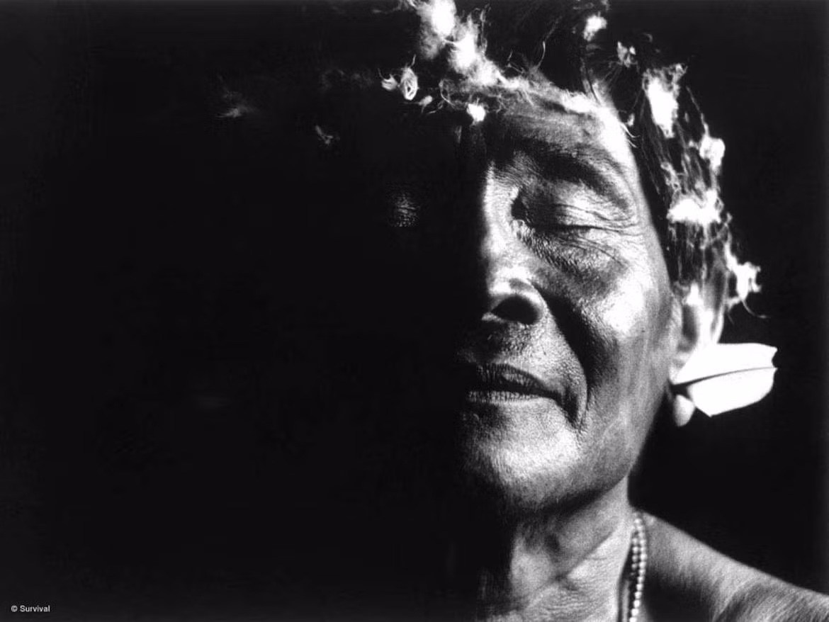 Với dân số khoảng 27.000 cư dân, bộ lạc Yanomami duy trì lối sống từ tổ tiên được truyền lại qua nhiều thế hệ. Ảnh: Claudia Andujar/Survival.