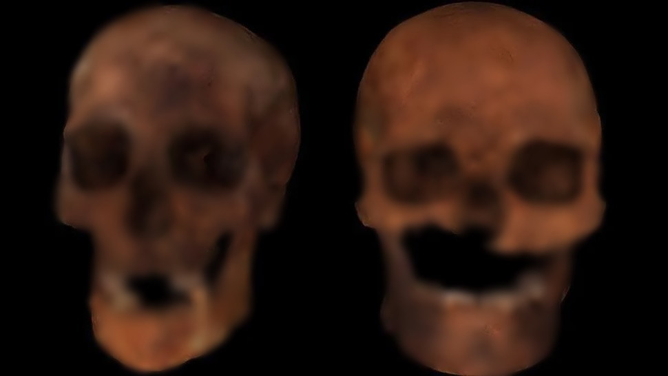 Kể từ khi phát hiện, các nhà nghiên cứu nỗ lực giải mã danh tính và mối quan hệ của những người được chôn cất trong mộ cổ trên. Ảnh: Adrian Evans/University of Bradford.