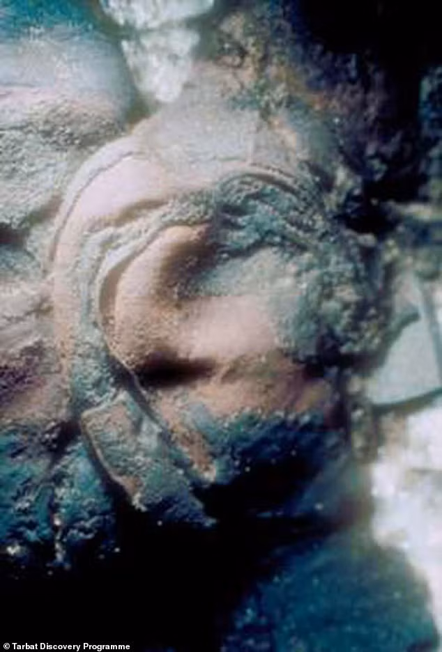 Từ đây, các nhà nghiên cứu suy đoán chủ nhân ngôi mộ có tới 6 hộp sọ có thể là một lãnh đạo địa phương - người qua đời đột ngột vì nguyên nhân bạo lực. Việc chôn cất người đàn ông thứ hai ở cùng ngôi mộ có thể là nỗ lực nhằm tăng cường sự gắn bó với gia đình. Điều này cũng giúp lý giải tại sao hộp sọ của tổ tiên người đàn ông thứ hai cũng được đặt trong ngôi mộ. Ảnh: Tarbat Discovery Programme.