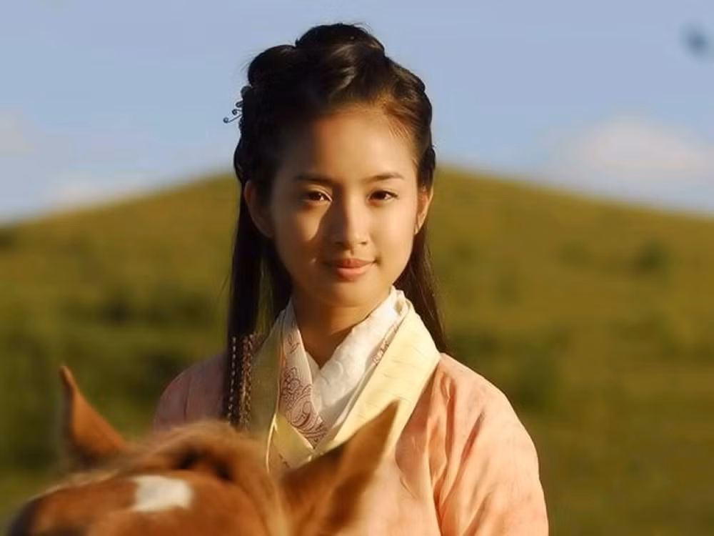 Hoàng Dung thành thạo các môn võ công: Đả cẩu bổng pháp, Mãn thiên hoa vũ, Lạc anh thần kiếm chưởng, Lan hoa phất huyệt thủ...