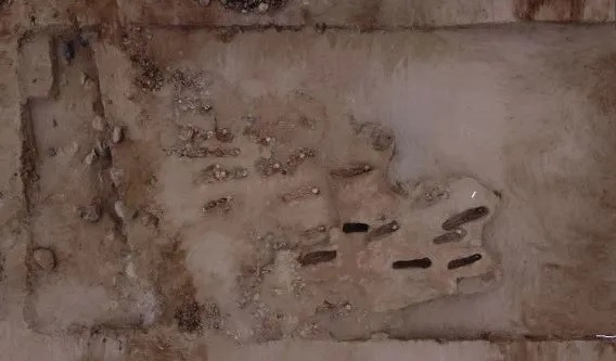 Sự hiện diện của vỏ sò là gợi ý đầu tiên về mối liên hệ giữa gò chôn cất này với Lambayeque. Dựa trên phân tích sâu hơn về 76 hài cốt khác được tìm thấy tại cùng địa điểm vào năm 2022, các nhà nghiên cứu xác định rằng tất cả các nạn nhân đều có hộp sọ bị biến dạng. Điều này có nghĩa hộp sọ của trẻ sơ sinh được kéo dài bằng ván hoặc khăn quấn đầu.