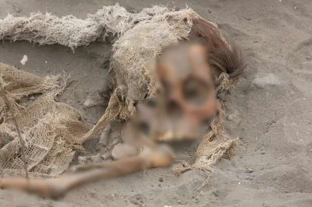 Người Chimú đã mở rộng hoạt động nông nghiệp của họ sang những khu vực không tự nhiên trồng trọt tốt. Họ cần những hệ thống thủy lợi phức tạp để trồng trọt lương thực ở khu vực Pampa la Cruz. Sau khi hệ thống thủy lợi hoàn thành, những đứa trẻ có thể đã bị hiến tế.