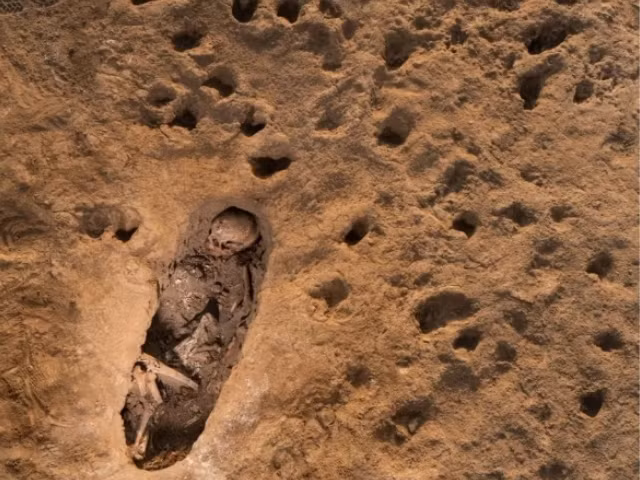 Kết quả phân tích của các chuyên gia chỉ ra những đứa trẻ được chôn trong tình trạng khỏa thân trong khi quần áo để gần đó. Ngực của chúng đã bị rạch từ xương đòn xuống xương ức, và xương sườn của chúng đã bị mở ra, có khả năng là để tiếp cận tim.