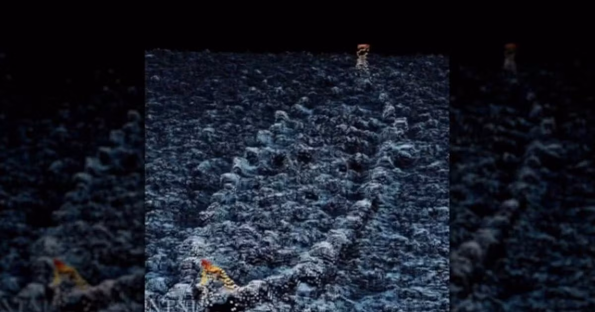 Theo nhóm nghiên cứu, con tàu bí ẩn này là "føringsbåt" dùng để chở hàng hóa và hành khách. Những con tàu như vậy được sử dụng phổ biến trên các hồ ở Na Uy. Do kết cấu đáy phẳng nên chúng không phù hợp với việc di chuyển trên vùng biển rộng.