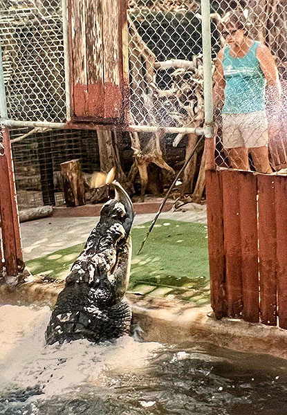 Mặc dù các chuyên gia không chắc chắn nhưng họ cho rằng con cá sấu khổng lồ Cassius có thể hơn 120 tuổi khi chết. Lúc bị bắt, ước tính nó khoảng 30 - 80 tuổi. Tốc độ phát triển của cá sấu chậm lại đáng kể sau khi trưởng thành. Ảnh: Greenislandcrocs.