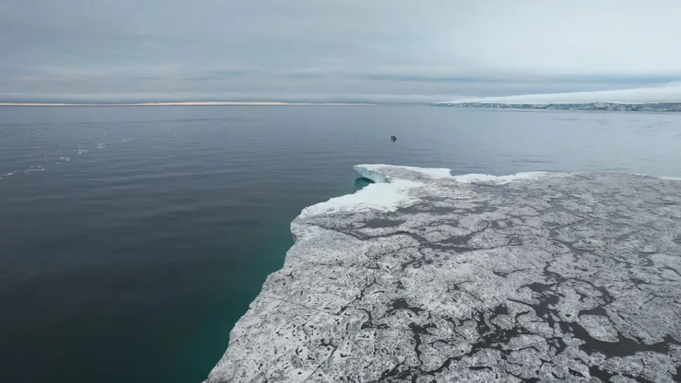 Vào năm 2010, đảo Mesyatsev có diện tích bề mặt khoảng 1,1 triệu m2 - tương đương kích thước của khoảng 20 sân bóng bầu dục Mỹ. Tuy nhiên, khi xem xét loạt ảnh vệ tinh mới chụp vào ngày 12/8/2024, nhóm học sinh, sinh viên đại học nhận thấy hòn đảo chỉ còn diện tích khoảng 30.000 m2, giảm hơn 99,7% so với 14 năm trước. Ảnh: Alexandra Barymova / Lomonosov Moscow State University Marine Research Center.