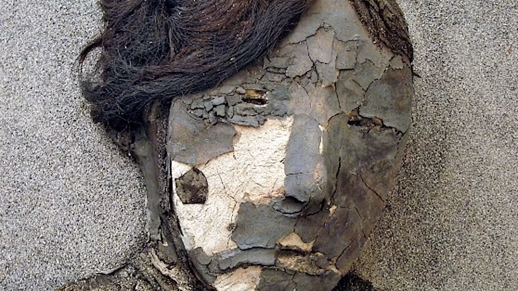 Tuy nhiên, trong những thập kỷ gần đây, độ ẩm ở vùng sa mạc Atacama tăng do biến đổi khí hậu khiến nhiều xác ướp bị hư hại. Một số xác ướp khác bị mốc, khô mục hoặc bị côn trùng gặm nhấm.