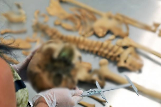 Mới đây, các nhà khoa học đã hợp tác với nhà điêu khắc kiêm nhà khảo cổ học người Thụy Điển Oscar Nilsson để thực hiện dự án phục dựng gương mặt của "Zosia".