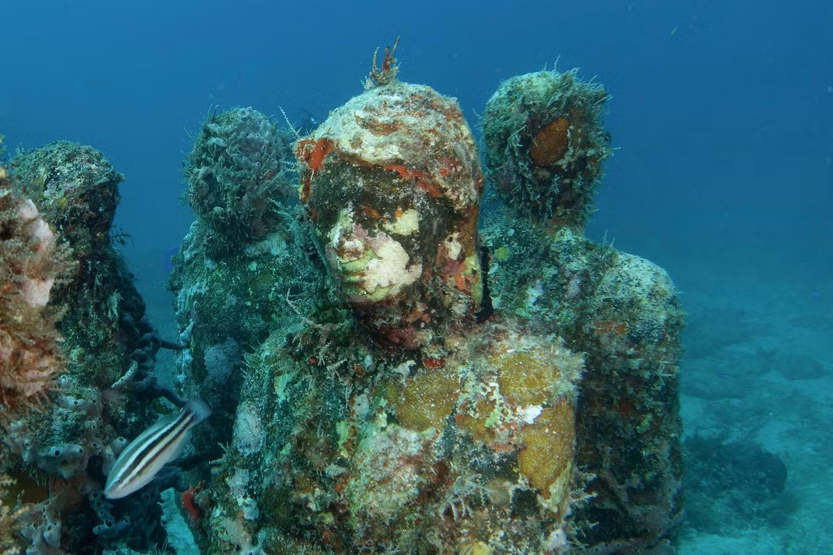 Các bức tượng tại Công viên điêu khắc dưới nước ở Vịnh Molinere đều được làm từ thép không gỉ cao cấp và xi măng biển có độ pH trung tính. Ảnh: Krofoto/Shutterstock.com.