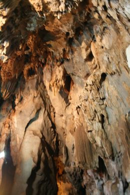 Sau đó, các nhà khảo cổ đã tiến hành kiểm tra, khảo sát hang Talgua và phát hiện không gian trên từng được một nền văn minh tiền Columbus sinh sống. Họ xác định những người sử dụng hang động này không phải người Maya.