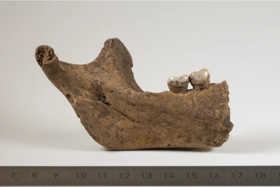 Con dao găm là một trong số nhiều hiện vật được khai quật trong hang Tina Jama. Thông qua xác định niên đại của con dao găm và những cổ vật đó, giới nghiên cứu đã xác nhận việc các nhóm người khác nhau đã sinh sống trong hang động vào nhiều thời điểm khác nhau từ khoảng 9.000 đến 4.000 năm trước.