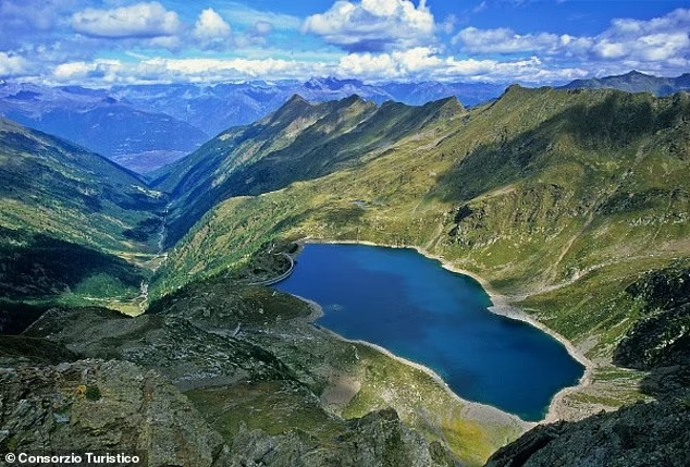 Kể từ đó, nhiều chuyên gia, nhà khoa học đã thực hiện các khám phá tại địa điểm trên và tìm thấy toàn bộ bằng chứng về hệ sinh thái có niên đại từ kỷ Permi (299 triệu đến 252 triệu năm trước).