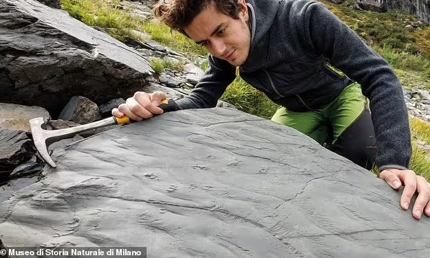 Kỷ Permi có khí hậu ấm lên nhanh chóng và lên đến đỉnh điểm trong sự kiện tuyệt chủng được gọi là "Đại tuyệt chủng", xóa sổ 90% các loài trên Trái Đất.