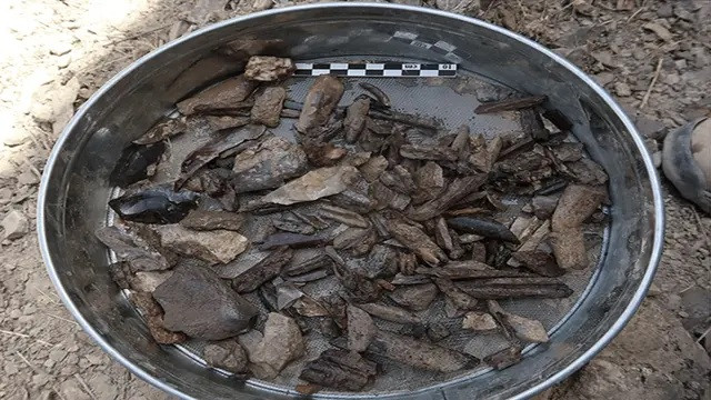 Trong đó, vào năm 2023, các nhà khảo cổ khai quật một trong những địa điểm đó có tên Soii Havzak nằm dọc theo một nhánh nhỏ của sông Zeravshan. Tại đó, họ đã tìm thấy một loạt công cụ bằng đá như đá lửa, lưỡi dao và mảnh đá, xương động vật... Những hiện vật này cho thấy chúng đã được sử dụng vào khoảng 150.000 đến 20.000 năm trước.