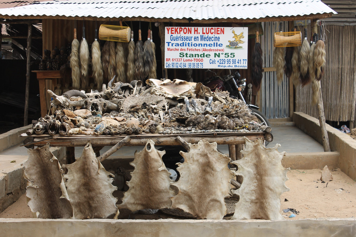 Theo đó, bên trong chợ Akodessewa Fetish có bày bán nhiều bộ phận đã phơi khô của các loài động vật như mèo, báo, hổ, linh dương, kền kền, dơi, rắn... Ảnh: atlasobscura.
