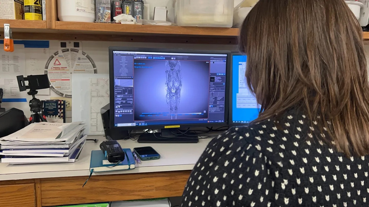 "Quan tài cartonnage ở bên trong dường như liền một thể và nhẵn mịn mà không có bất kỳ đường nối bên ngoài nào (khác với quan tài bên ngoài làm từ gỗ). Nếu bạn nhìn hình dáng của hộp cartonnage, lỗ hở ở chân quá hẹp để vai của xác ướp có thể lọt qua", chuyên gia bảo tồn HP Brown ở Bảo tàng Field cho biết.