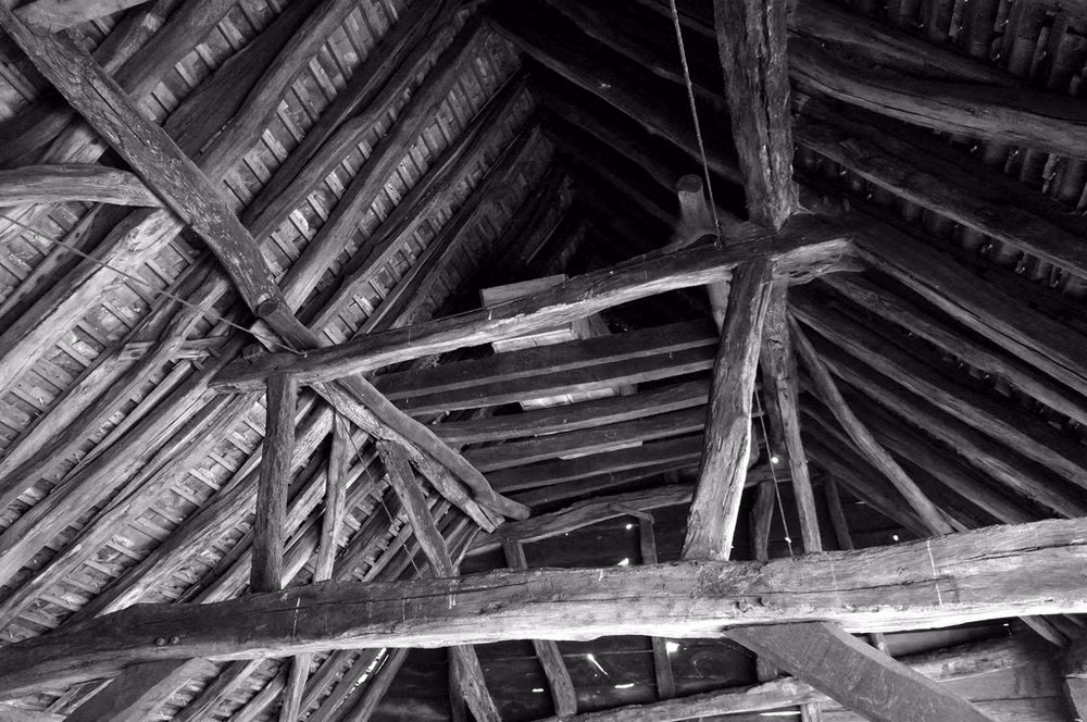 Sau khi suy nghĩ kỹ, ông Trigg đã viết một di chúc. Ông dặn dò người thân rằng, sau khi ông chết, mọi người hãy đặt thi hài vào trong quan tài. Tuy nhiên, thay vì chôn cất trong nghĩa trang, ông muốn quan tài chứa thi hài của mình đặt trên các thanh xà ngang và dưới xà nhà kho tối thiểu 30 năm.