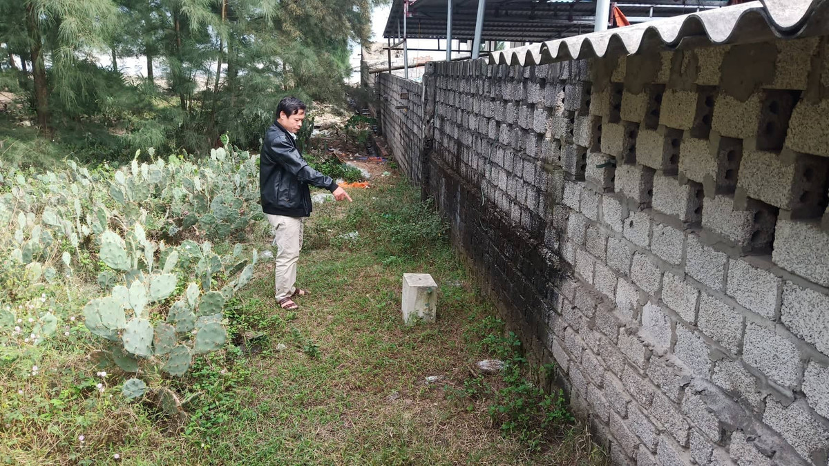 Thanh Hóa xóa rừng phòng hộ làm du lịch: Dân phản đối kịch liệt, huyện vẫn cố thu hồi - Hình 2 Thanh Hoa xoa rung phong ho lam du lich: Dan phan doi kich liet, huyen van co thu hoi-Hinh-2