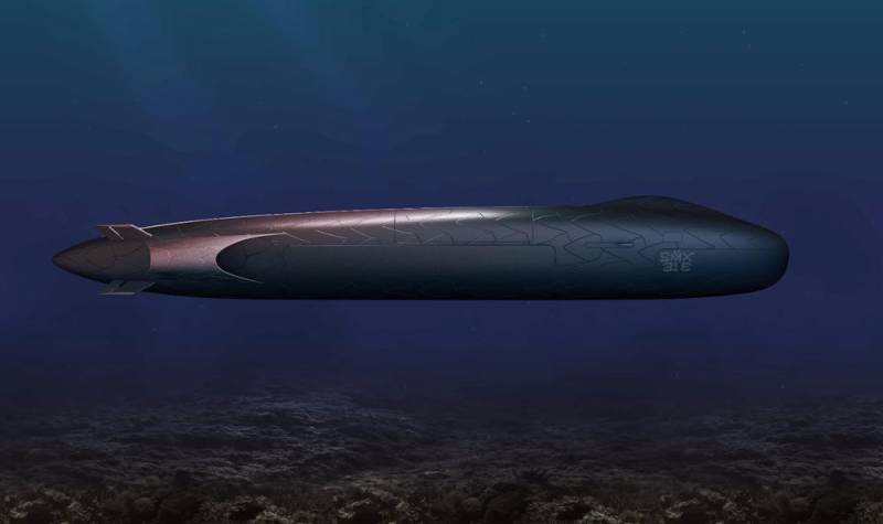 Tàu ngầm sẽ mang theo khoảng 20 ngư lôi và tên lửa (có thể phóng ngang từ các phương tiện ở đuôi tàu và hai bên thân tàu), không kể 6 phương tiện D19 và 2 AUV nằm trong các module bên ngoài.