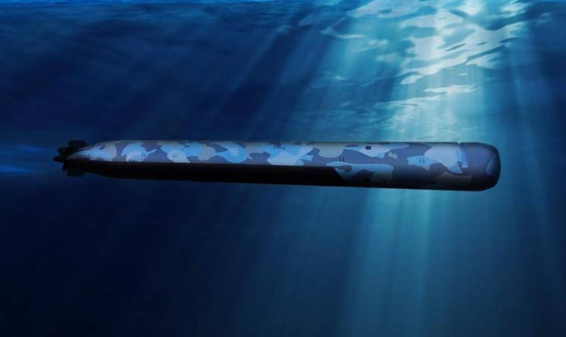 Mặc dù vậy cũng có nghi ngại rằng các công nghệ áp dụng trên tàu ngầm SMX31E quá mức tiên tiên và có vẻ như đang vượt quá xa trình độ công nghệ ngày này.