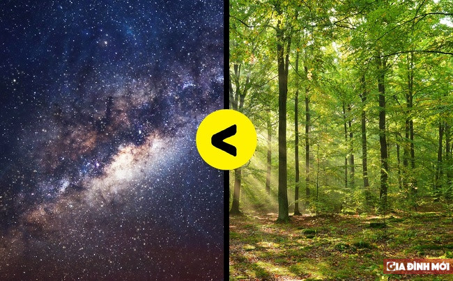 2. Số sao trên trời ít hơn số cây trên Trái Đất Số liệu cho thấy số cây trên Trái Đất còn nhiều hơn số sao trên Ngân Hà. Hiện tại có khoảng 3 nghìn tỷ cây xanh và 400 tỷ ngôi sao.