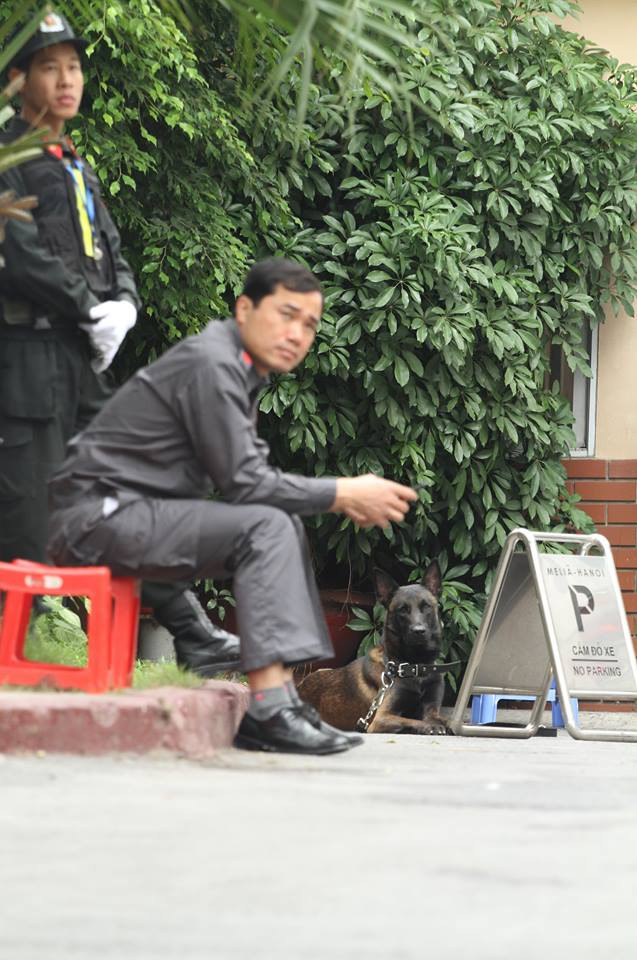 Đây chính là là các giống chó được đào tạo, huấn luyện, lai giống để phục vụ cho các hoạt động nghiệp vụ của con người đặc biệt là trong lực lượng cảnh sát (cảnh khuyển) và trong chiến tranh.