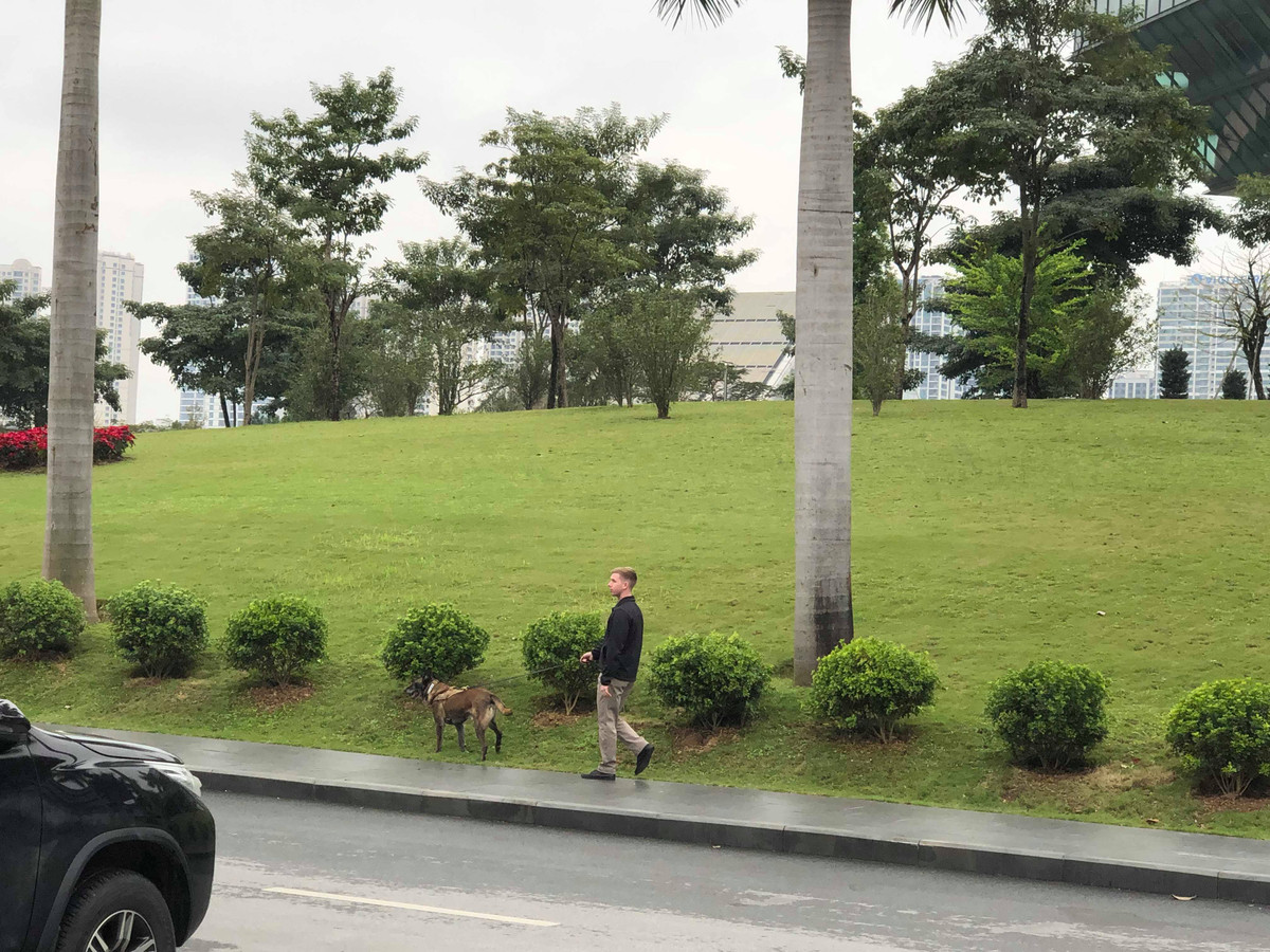 Xung quanh khách sạn JW Marriott (quận Nam Từ Liêm, TP Hà Nội) chiều 25/2, mật vụ Mỹ cũng sử dụng chó nghiệp vụ để rà soát an ninh xung quanh.