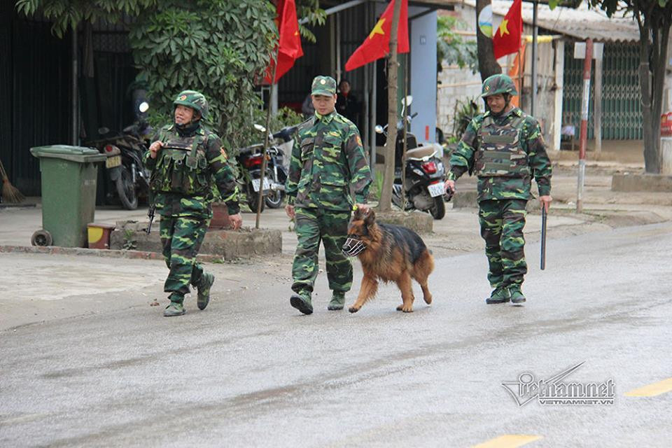 Bộ đội đưa chó đi tuần tra trên đường