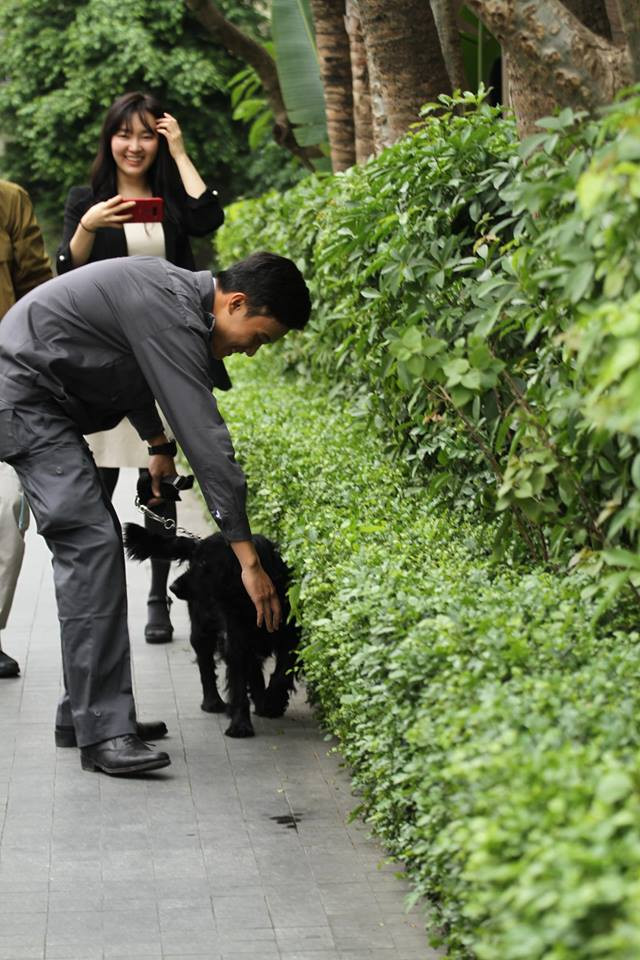 Ngoài việc có thể phát hiện tiếng động cách xa hàng trăm mét, chúng còn có thể nghe được sóng siêu âm, là âm thanh có tần số cao, con người không nghe được. Khứu giác của loài chó cho phép phát hiện và phân biệt trên 3.000 mùi, hơi khác nhau với mật độ chỉ cần một phần tỷ. Thị giác của chó có thể phát hiện được ánh sáng hồng ngoại nên có thể di chuyển dễ dàng trong đêm tối.