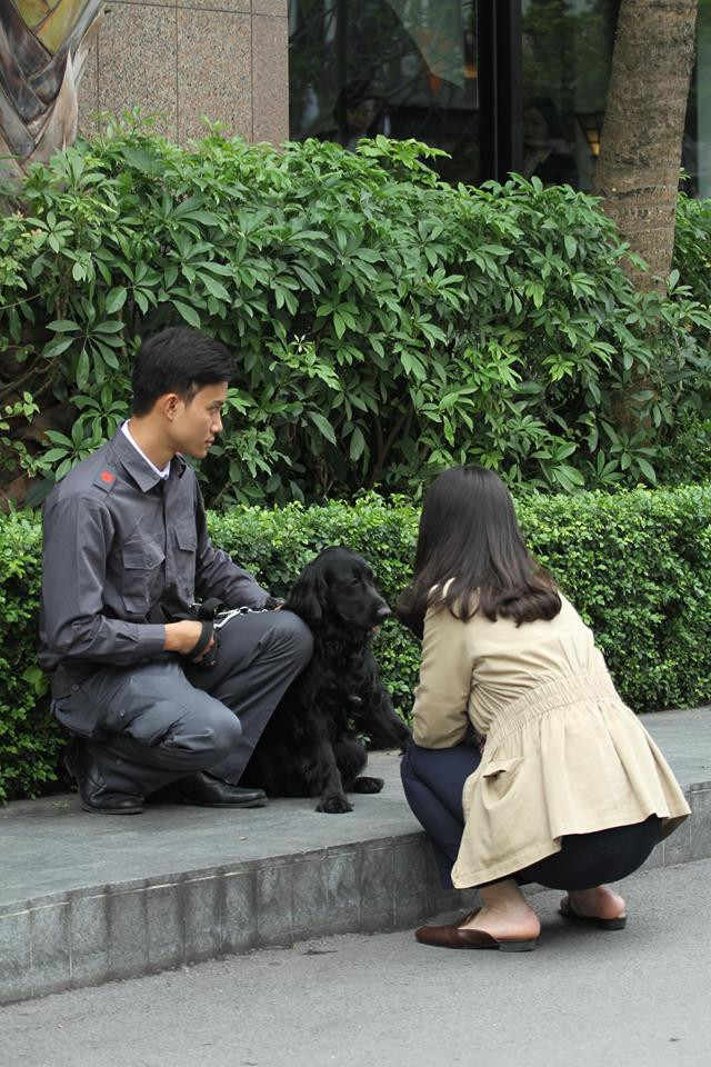 Chó nghiệp vụ là những con chó được tuyển chọn, huấn luyện để làm những nhiệm vụ được chỉ bảo, kể cả dùng trong nhiệm vụ an ninh, quốc phòng và trong lĩnh vực dân sự.