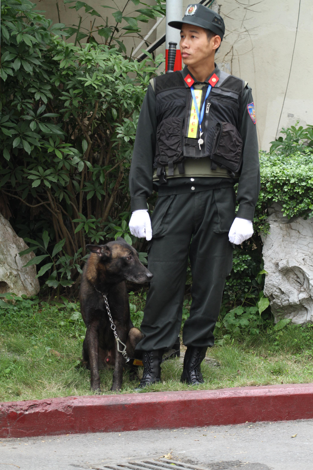 Chiều ngày 25/2, tại khách sạn Melia, khâu chuẩn bị cho Hội nghị thượng đỉnh Mỹ - Triều đã hoàn tất. Theo ghi nhận của PV Kiến Thức, những chú chó nghiệp vụ của Bộ tư lệnh cảnh vệ cũng đã vào vị trí.