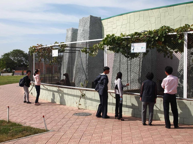 Sở thú Bình Nhưỡng cũng có các màn trình diễn động vật ngoạn mục, trong đó có khỉ chơi bóng rổ, vẹt đọc thơ và tinh tinh hút thuốc. Hay những khu nhìn ngắm động vật hoang dã vừa an toàn, vừa tiện như ở đây.