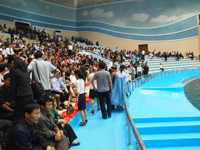 Được biết, hàng năm có tới 2,5 triệu du khách đến vườn thú ở Triều Tiên.