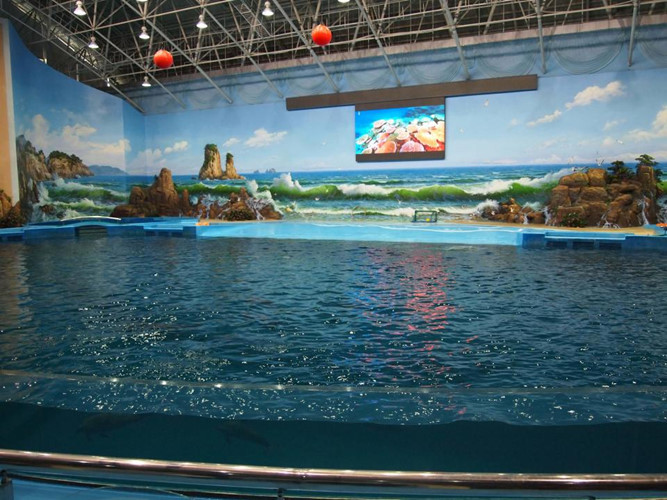 Những màn biểu diễn của sinh vật dưới nước cũng rất hấp dẫn người xem.