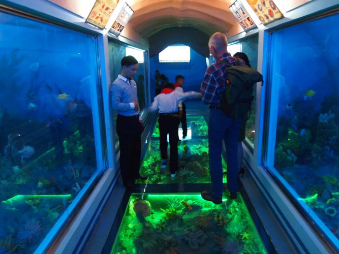 Sở thú Bình Nhưỡng cũng có thủy cung với đa dạng các loài động vật biển, sinh vật, cá...