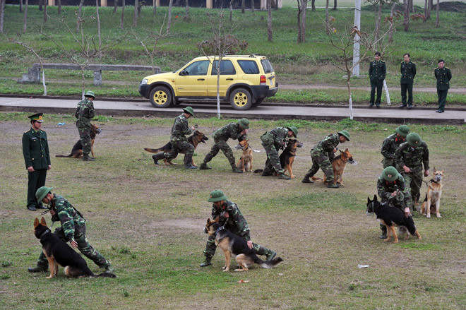 Ở Việt Nam cũng như trên thế giới, “Cảnh khuyển – Chó nghiệp vụ” đã dần trở thành bộ phận quan trọng trong công tác đấu tranh phòng chống tội phạm cũng như cứu hộ cứu nạn, công tác bảo vệ, đảm bảo an ninh. Trước thềm cuộc gặp thượng đỉnh Mỹ - Triều ở Việt Nam, thông tin về những chú chó nghiệp vụ Việt Nam càng được quan tâm hơn.